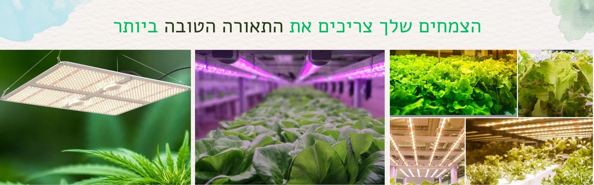 דף חדש